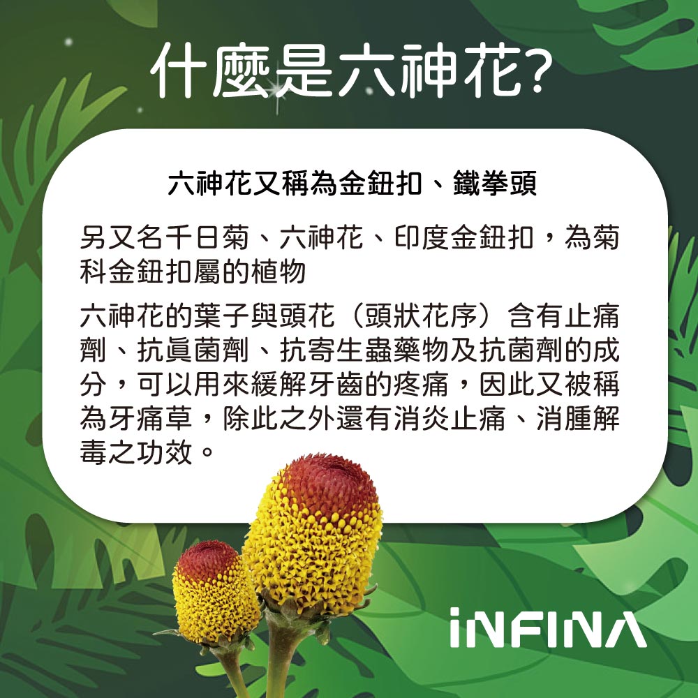 六神花  鐵拳頭精油貼布