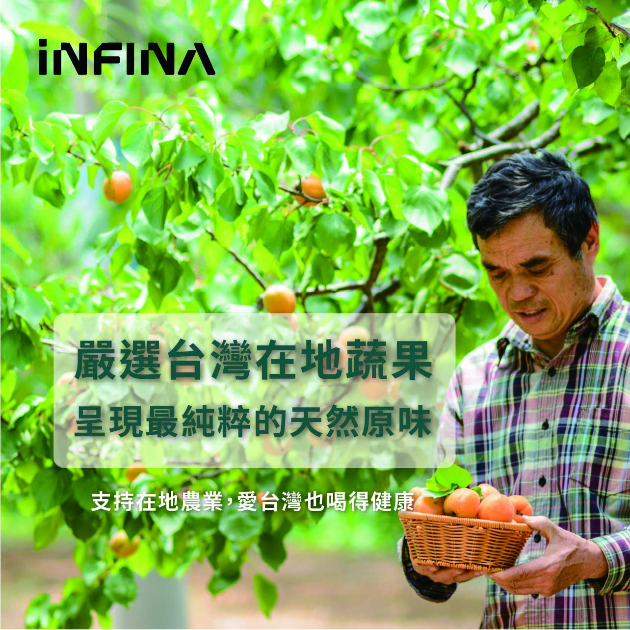 老薑黃發酵液 300ml/瓶